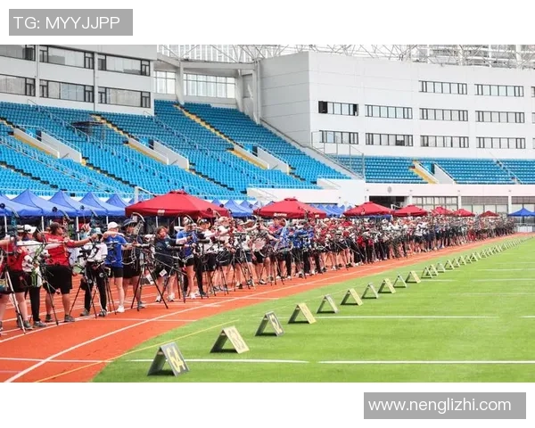 上海排球队杯赛精彩表现分析团队协作的重要性与未来展望 上海排球队杯赛精彩表现分析团队协作的重要性与未来展望