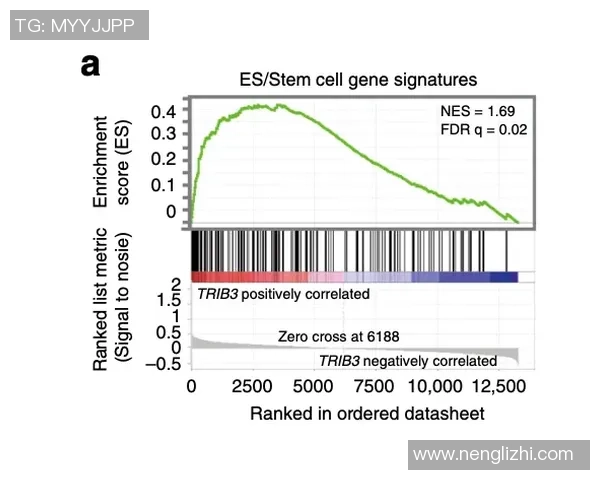 杭州极限运动队力量表现数据分析与训练策略探讨