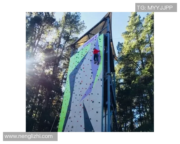 王丽亲述攀岩技巧与心路历程助你征服高峰